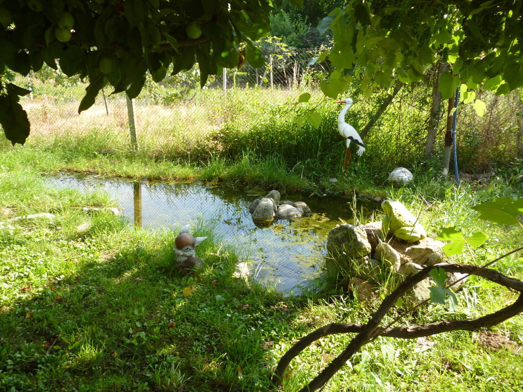 Villa Jun Guest House Belogradchik Εξωτερικό φωτογραφία